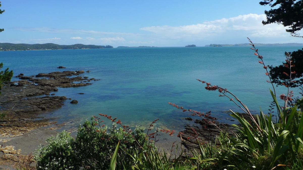 Tawharanui House | Tawharanui Park And Private Swimming Cove