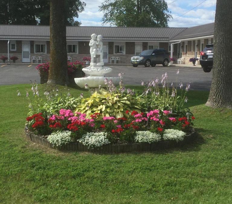 Perth Hotel | Tay Inn