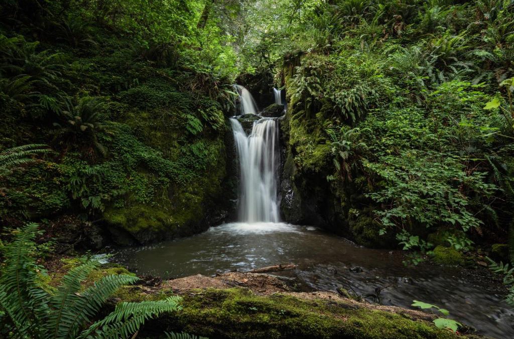 Gold Beach Bed & Breakfast | Taylor Creek Lodge