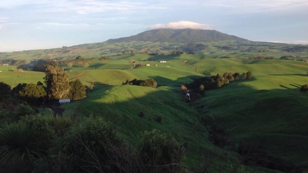 Raglan House | Te Mata Rural Escape