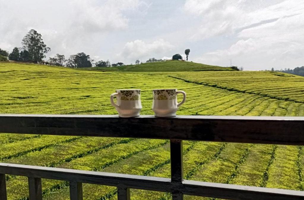 West Mere House | Tea Estate view stay
