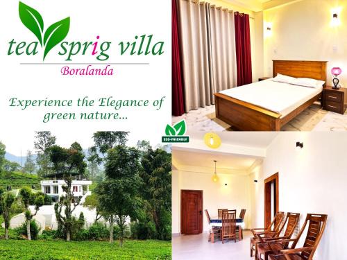 Welimada House | Tea sprig villa