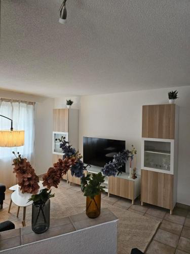 Tegerfelden Apartment | Tegerfelden Weinregion