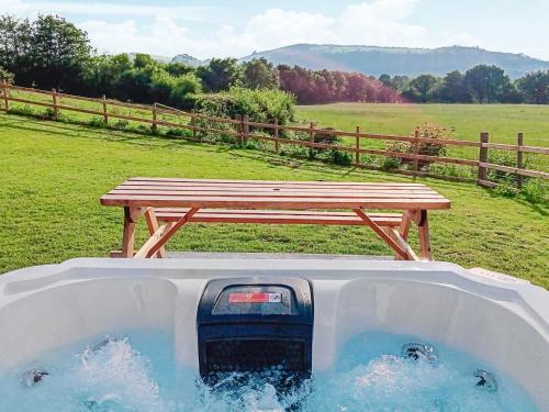 Llandeilo House | Teifi Cottage - Uk49590