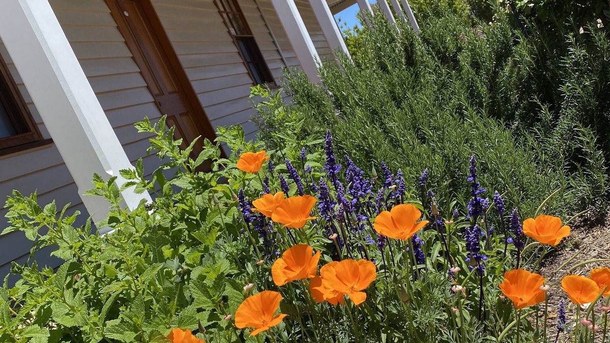 Gulgong House | Telegraph Station
