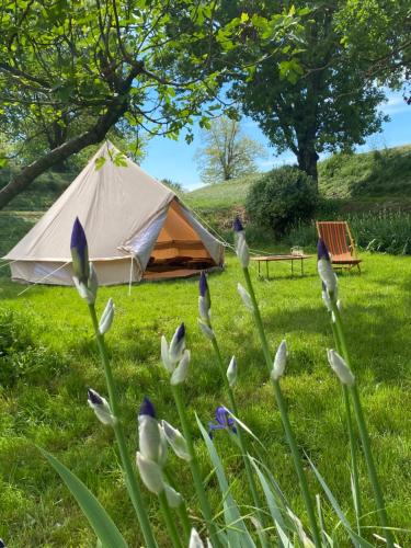 San Benedetto Po Other | Tenda Glamping Medaglie d'Oro