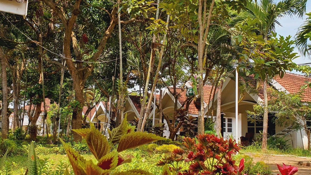 Tosari Hotel | Tengger Guest House