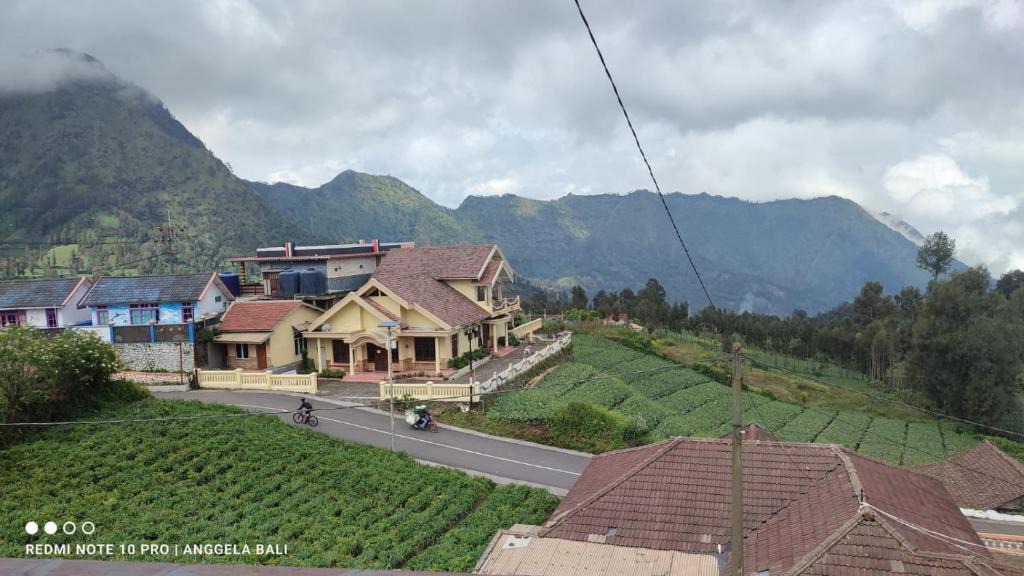 Ngadisari Hotel | Tengger Indah Bromo by ABM