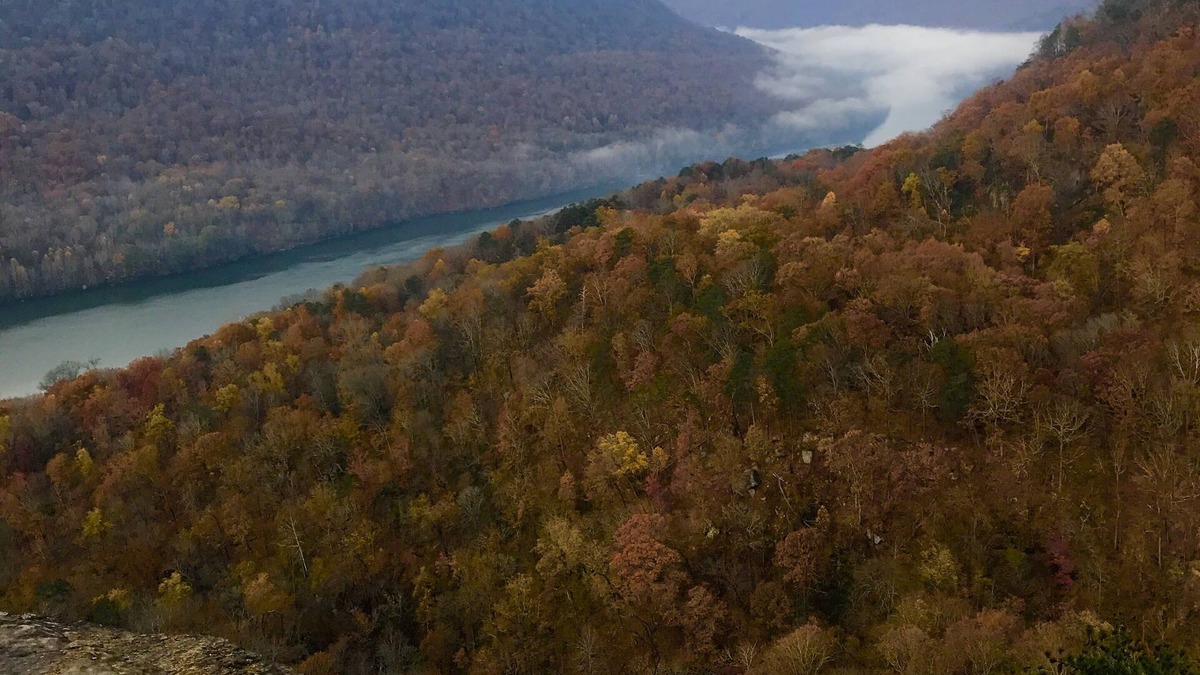 Chattanooga Condo | Tennessee's Grand Canyon! 10 Min From Downtown Chattanooga!