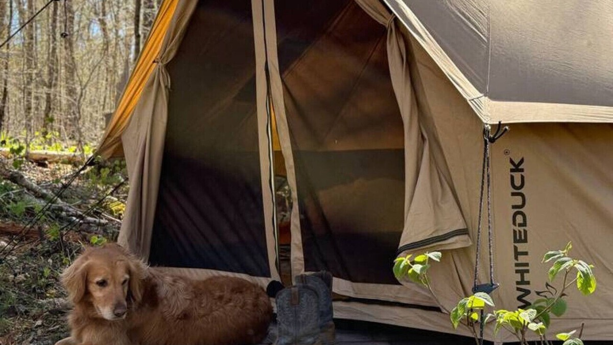 Indian Lake RV Rental | Tent in Indian Lake+Pet Friendly+Brookside