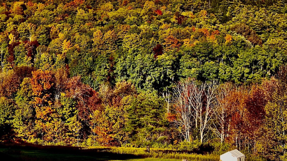 Cooperstown - Otsego Lake RV Rental | Tentrr Signature Site - Fenimore Slope