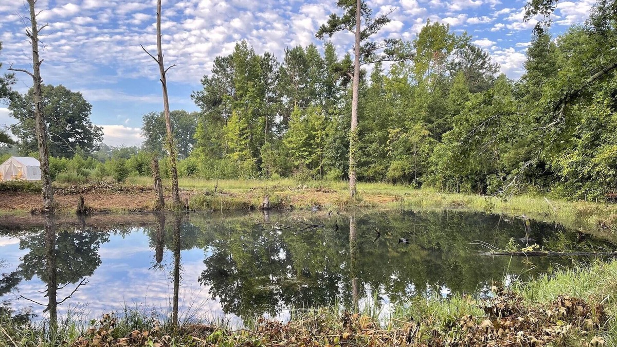 Little Rock RV Rental | Tentrr Signature Site - The Great Southern Jordan Ranch & Family Farms