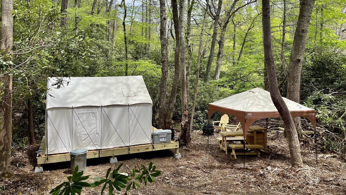 Newland RV Rental | Tentrr Signature Site - Hellbender Hollar Campsite