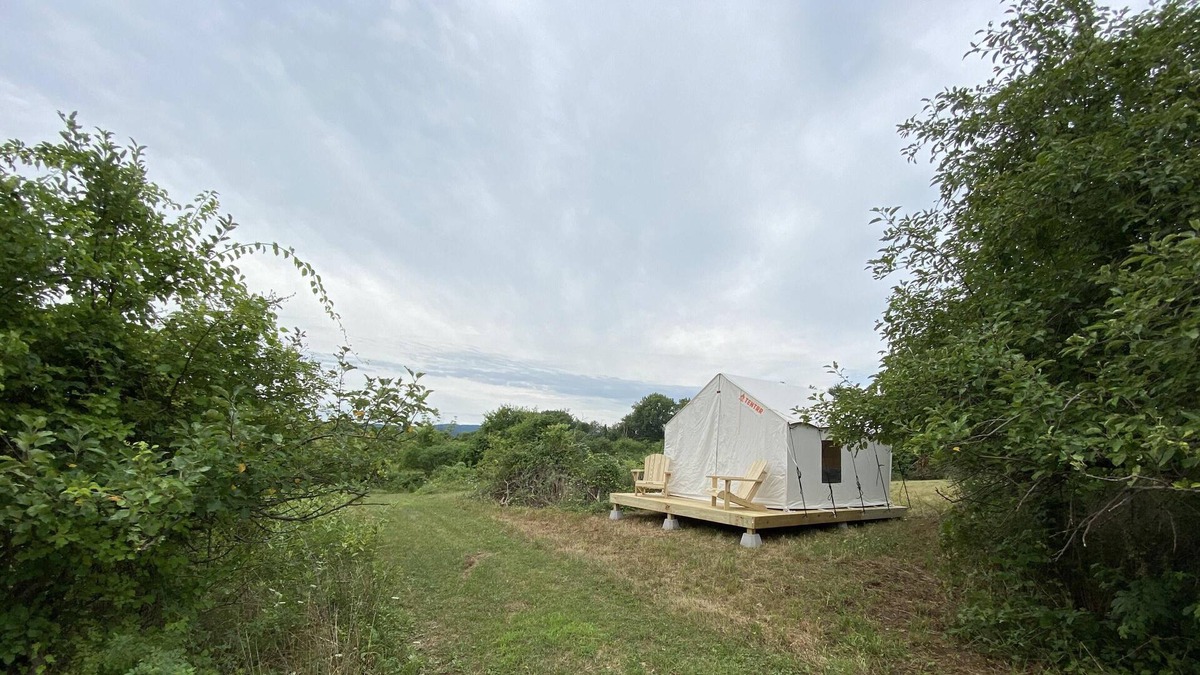 Town of Marbletown RV Rental | Tentrr Signature Site - Orchard Tent Esopus