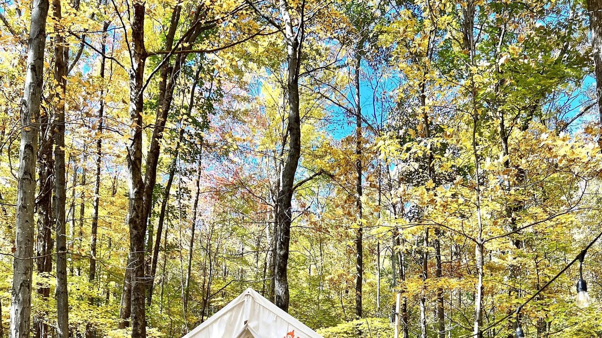Ellenville RV Rental | Tentrr Signature Site - Retreat East Co, The Forest Experience