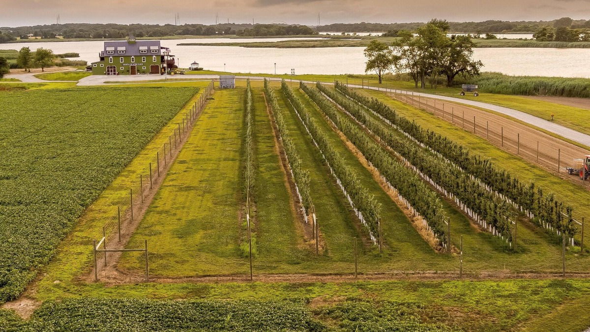 Hancocks Bridge RV Rental | Tentrr Signature Site - Thousand Acre Farm Waterfront Farm