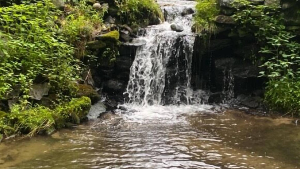 Mount Hope RV Rental | Tentrr Signature Site - Lake Hills Farm - Stream Side Camping