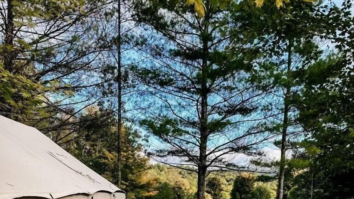 Mattawana RV Rental | Tentrr Signature Site - Piney Pond Retreat at Tuckaway Tree Farm