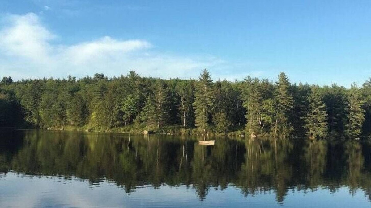 Warner RV Rental | Tentrr Signature Site - Bagley Pond Waterside