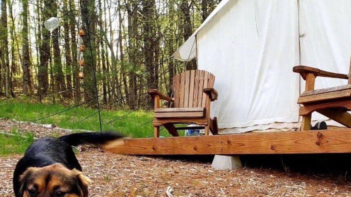 Acra RV Rental | Tentrr Signature Site - Big Wood