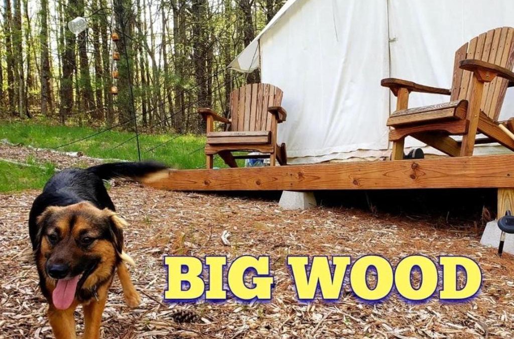 Acra Other | Tentrr Signature Site - Big Wood