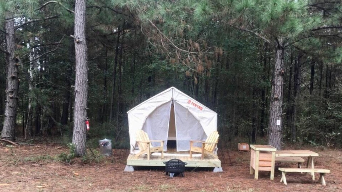 Pennington RV Rental | Tentrr Signature Site - HFR Campsite in the Davey Crockett National Forest #1