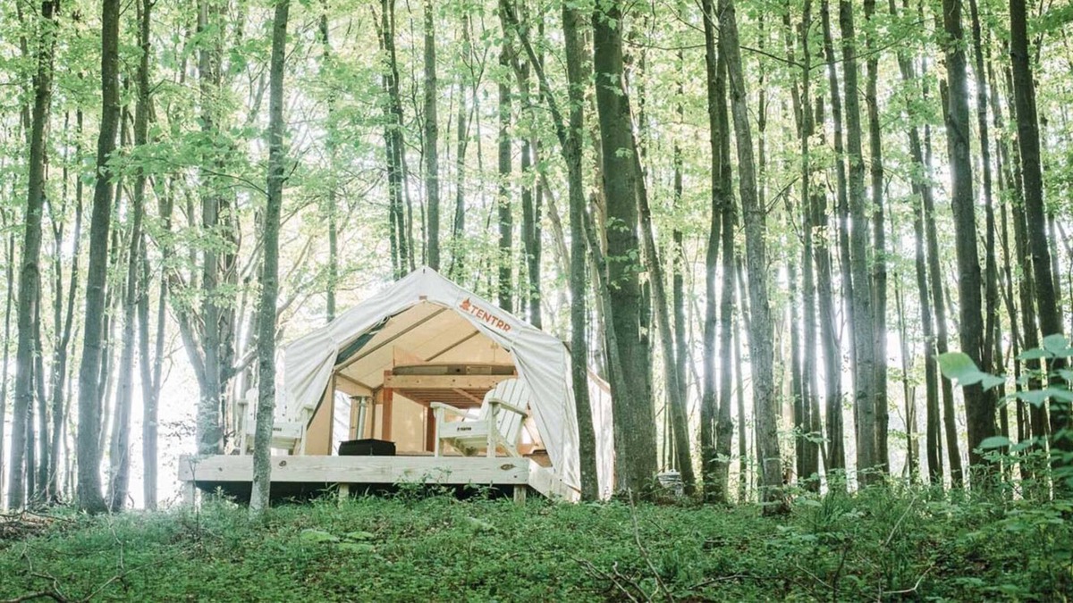 Waymart RV Rental | Tentrr Signature Site - Hollow Tree Camp - Coleman Outfitted Site