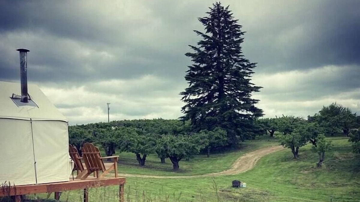 Mead RV Rental | Tentrr Signature Site - Hidden Acres Orchards