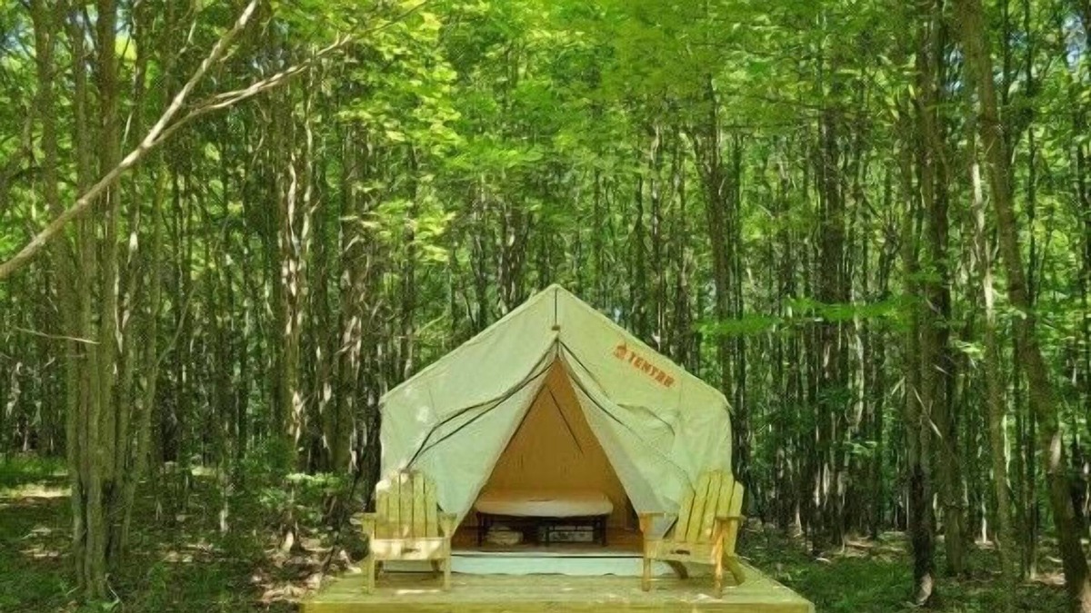 Ouaquaga RV Rental | Tentrr Signature Site - Occanum Creek