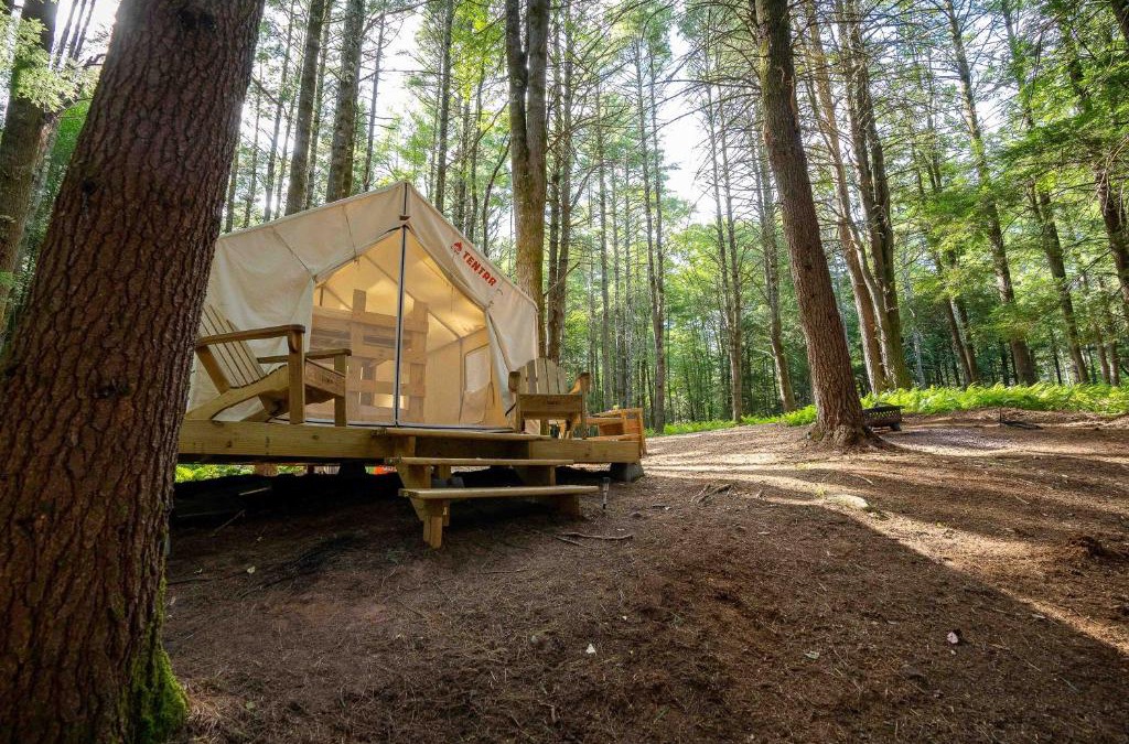 Kauneonga Lake Other | Tentrr Signature Site-Say Hello 2 Heaven at Tentrr Catskill Retreat-Single Camp