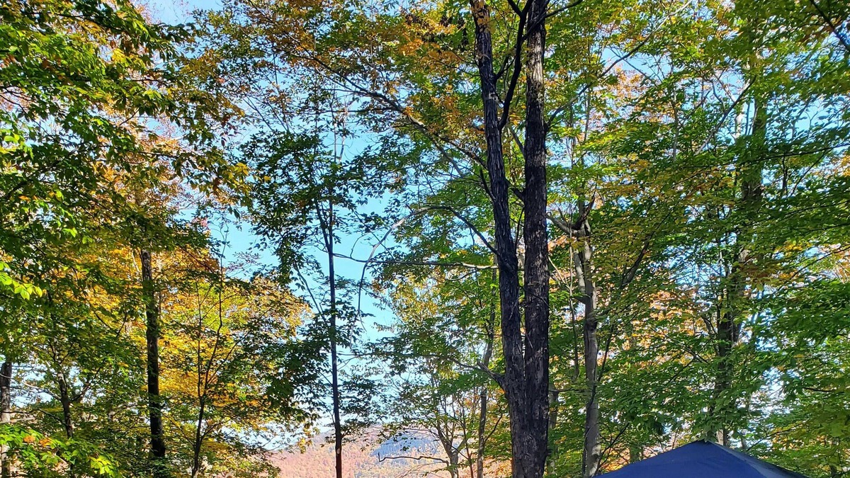 Lake Hill RV Rental | Tentrr Signature Site - Shady Knolls