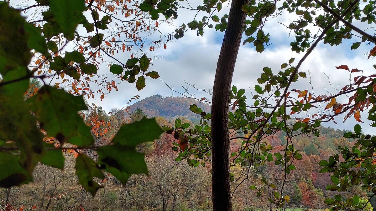Kings Creek RV Rental | Tentrr Signature Site - Sunrise View