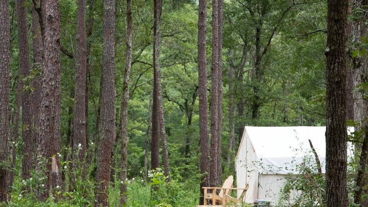 Florence RV Rental | Tentrr Signature Site - The Woods at Black Creek - The Swamp Fox