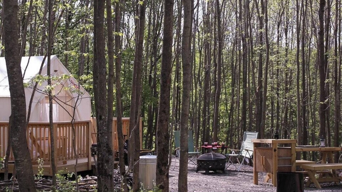 Hartwick RV Rental | Tentrr Signature Site - "Simplistic"