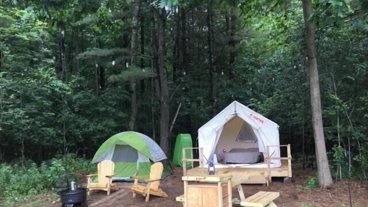 Johnstown RV Rental | Tentrr Signature Site - Dreamroad Farm Pine Tree
