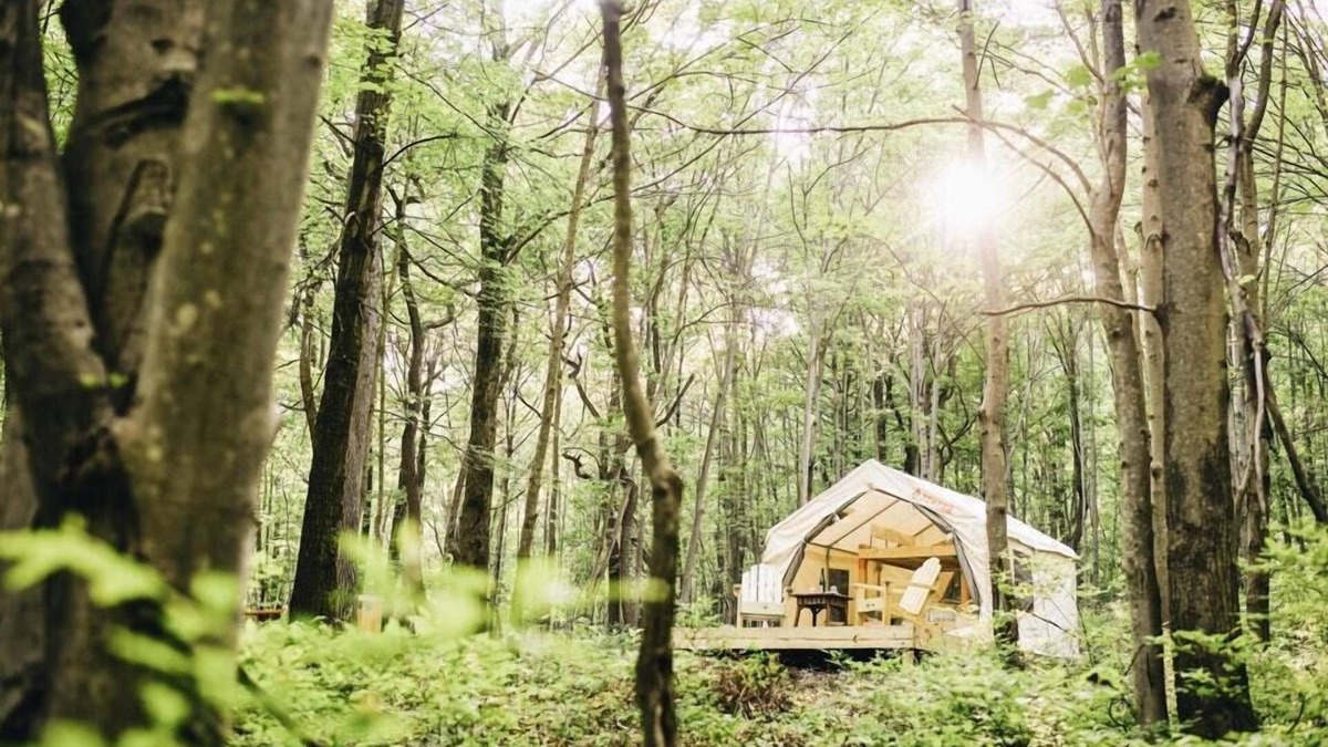 Lehighton RV Rental | Tentrr Signature Site - Whippoorwill Woods