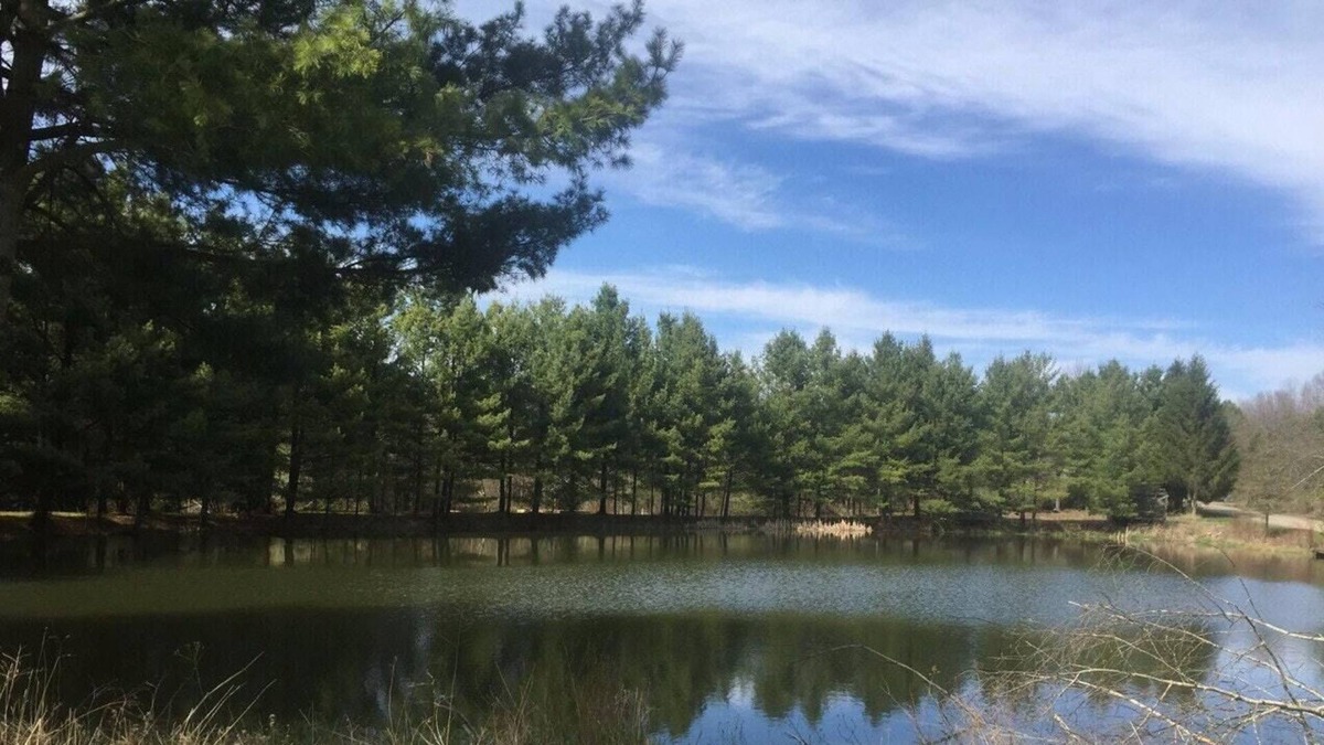 Franklin RV Rental | Tentrr Signature Site - Moonlit Pond South