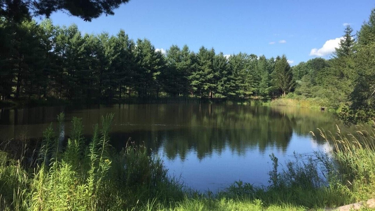 Franklin RV Rental | Tentrr Signature Site - Moonlit Pond