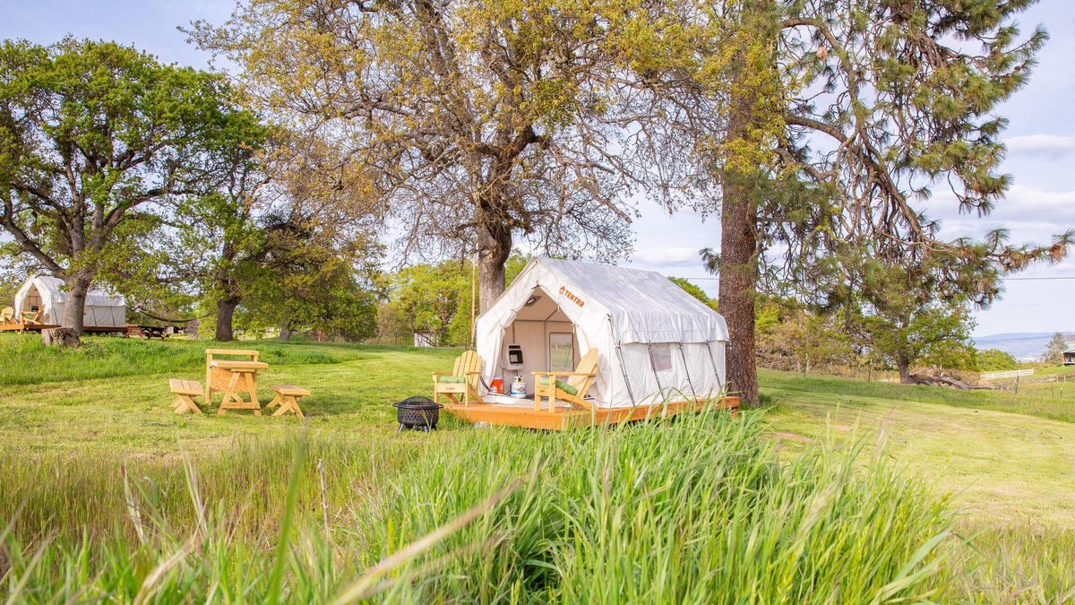 Central Point RV Rental | Tentrr Signature Site - Pines Place at Lane Creek Reserve