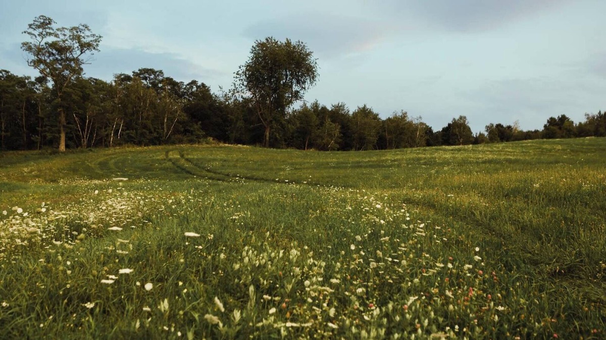 Stanfordville RV Rental | Tentrr Signature Site - Private Peaceful Farm Venture