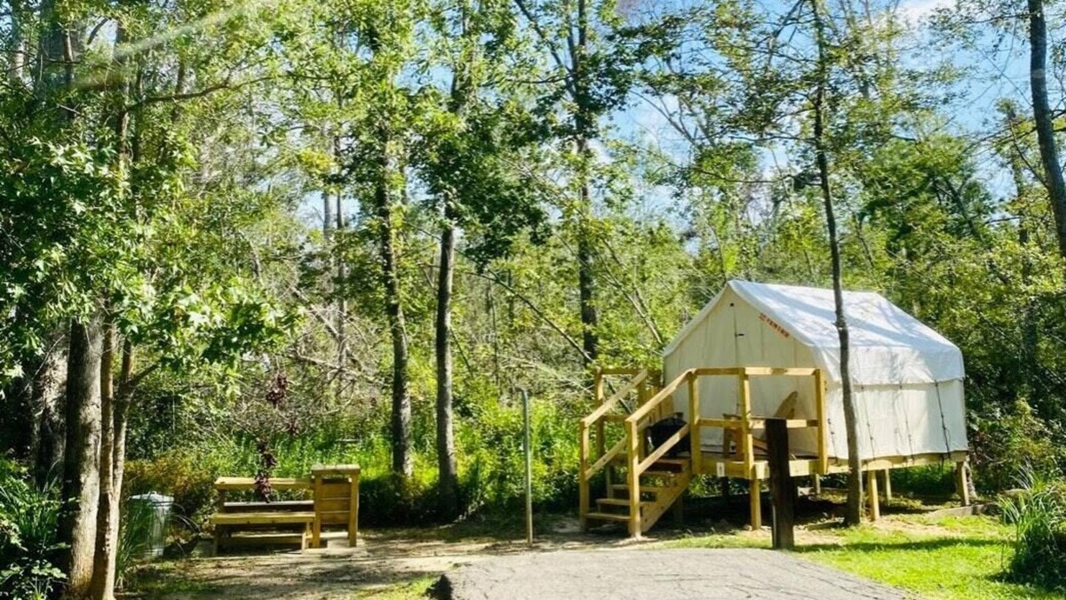 Springfield RV Rental | Tentrr State Park Site - Louisiana Tickfaw State Park - Woodland C - Single Camp