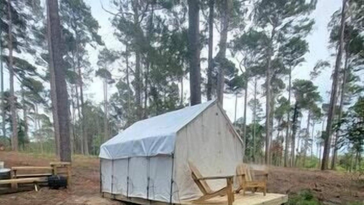 Zwolle RV Rental | Tentrr State Park Site - Louisiana North Toledo Bend State Park - Lakeview D - S