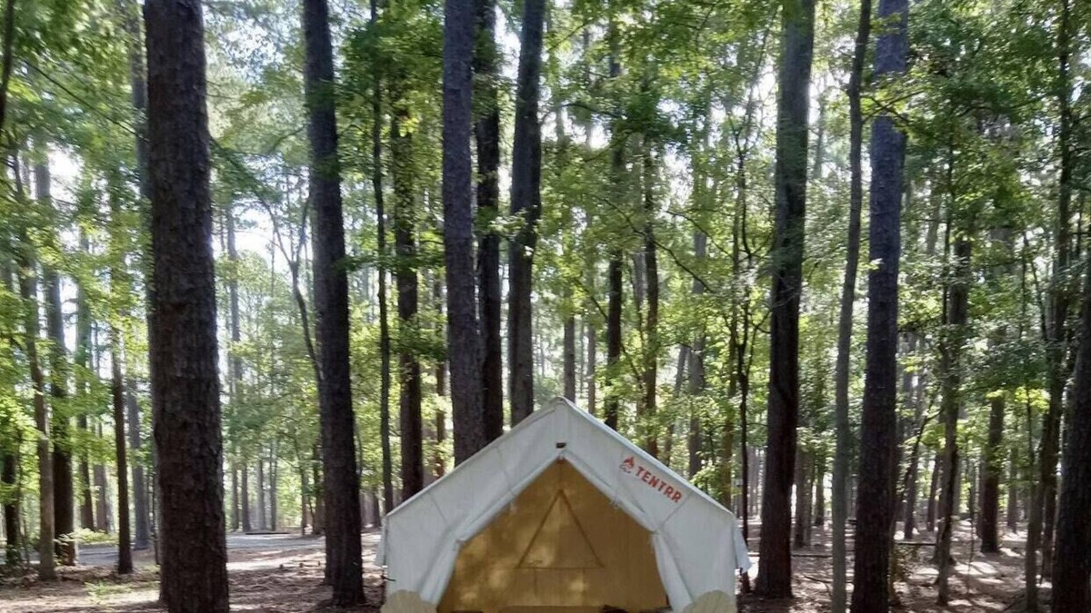 Zwolle RV Rental | Tentrr State Park Site - Louisiana North Toledo Bend State Park - Forest Glade H