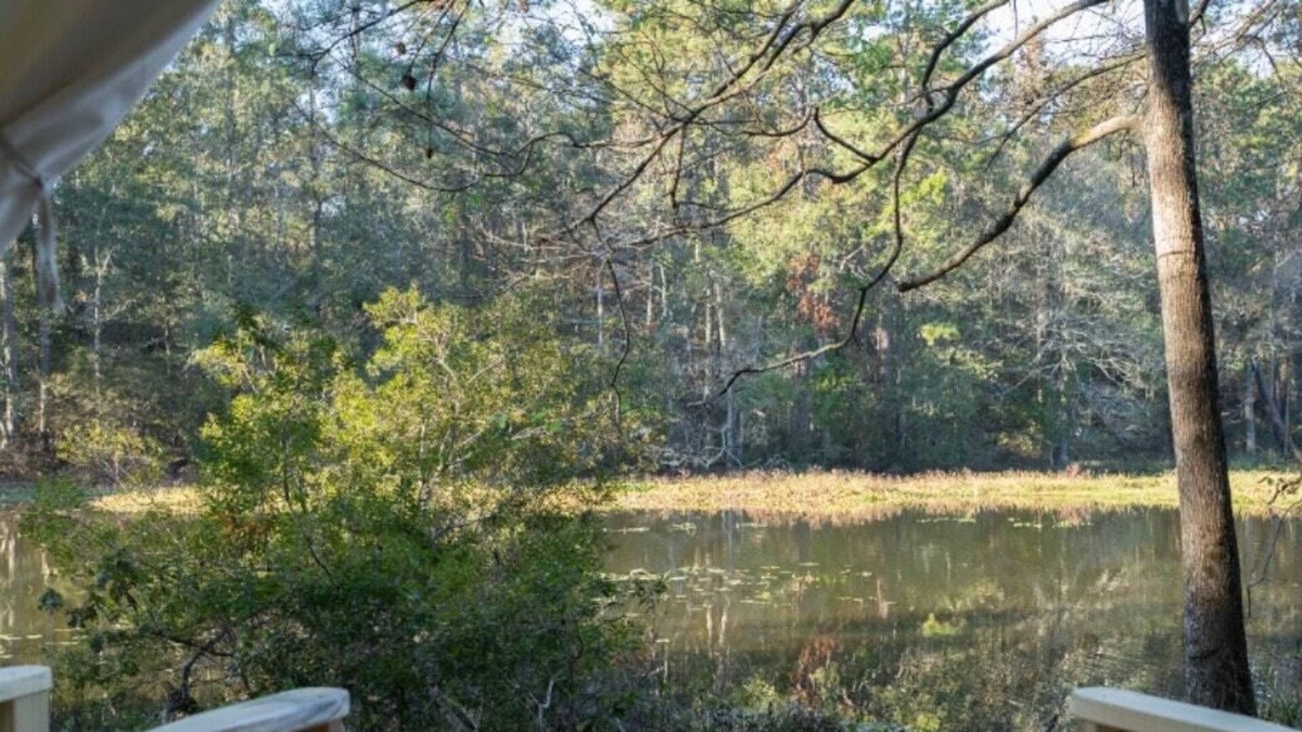 McComb RV Rental | Tentrr State Park Site - Mississippi Percy Quin State Park - Southside Lakeview
