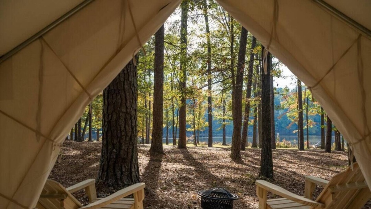 Morton RV Rental | Tentrr State Park Site - Mississippi Roosevelt State Park - Tall Trees C - Singl