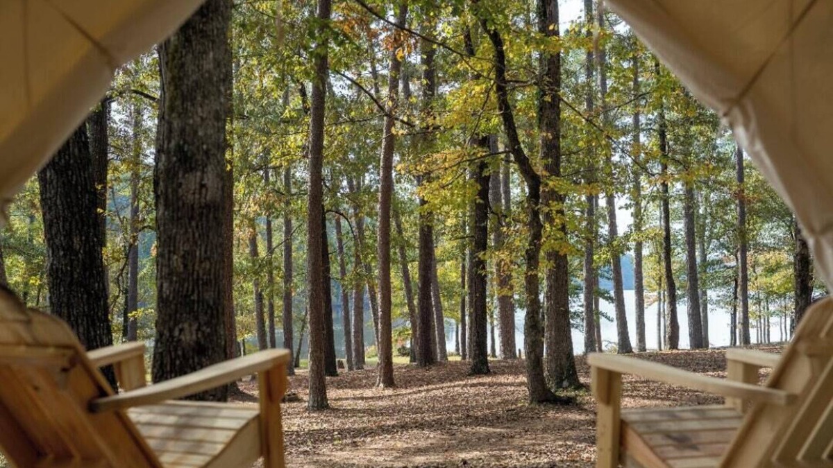 Morton RV Rental | Tentrr State Park Site - Mississippi Roosevelt State Park - I - Single Camp