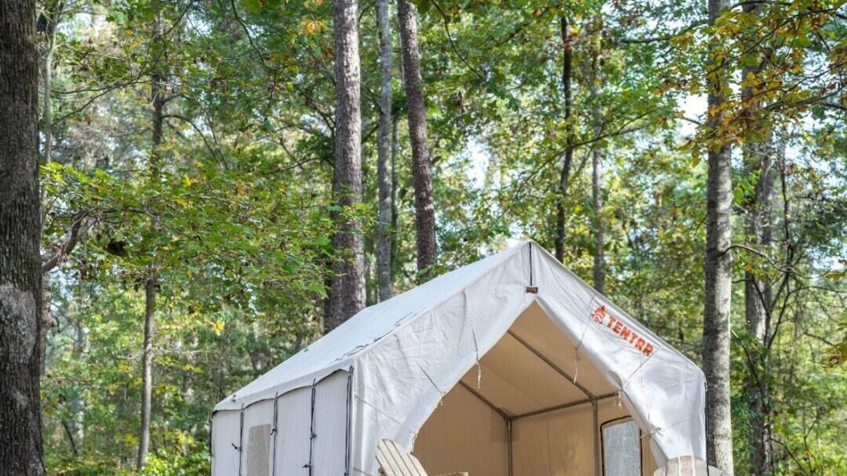 Morton RV Rental | Tentrr State Park Site - Mississippi Roosevelt State Park - Tall Trees H - Singl