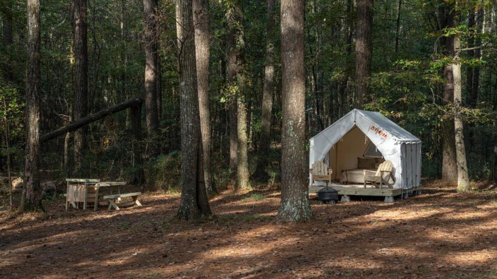 Morton Other | Tentrr State Park Site - Mississippi Roosevelt State Park - Tall Trees D - Single Camp
