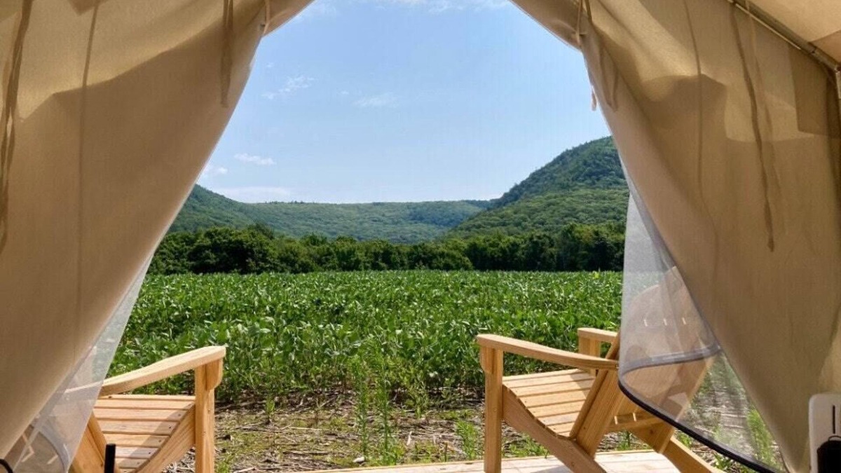 Copake Falls RV Rental | Tentrr State Park Site - NY Taconic State Park: High Valley Rd Site D