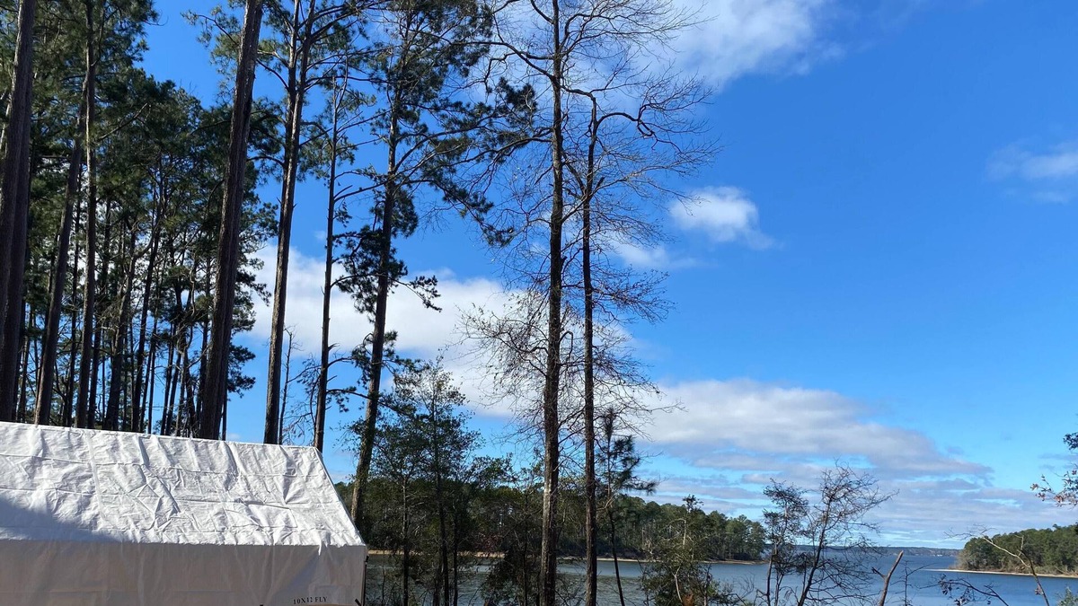 Anacoco RV Rental | Tentrr State Park Site - Louisiana South Toledo Bend State Park - Site C - Sing